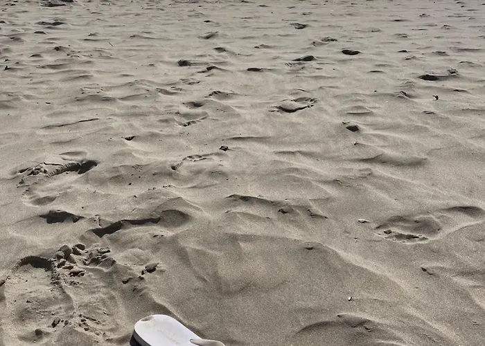 House Сasa de vacaciones Curracloe